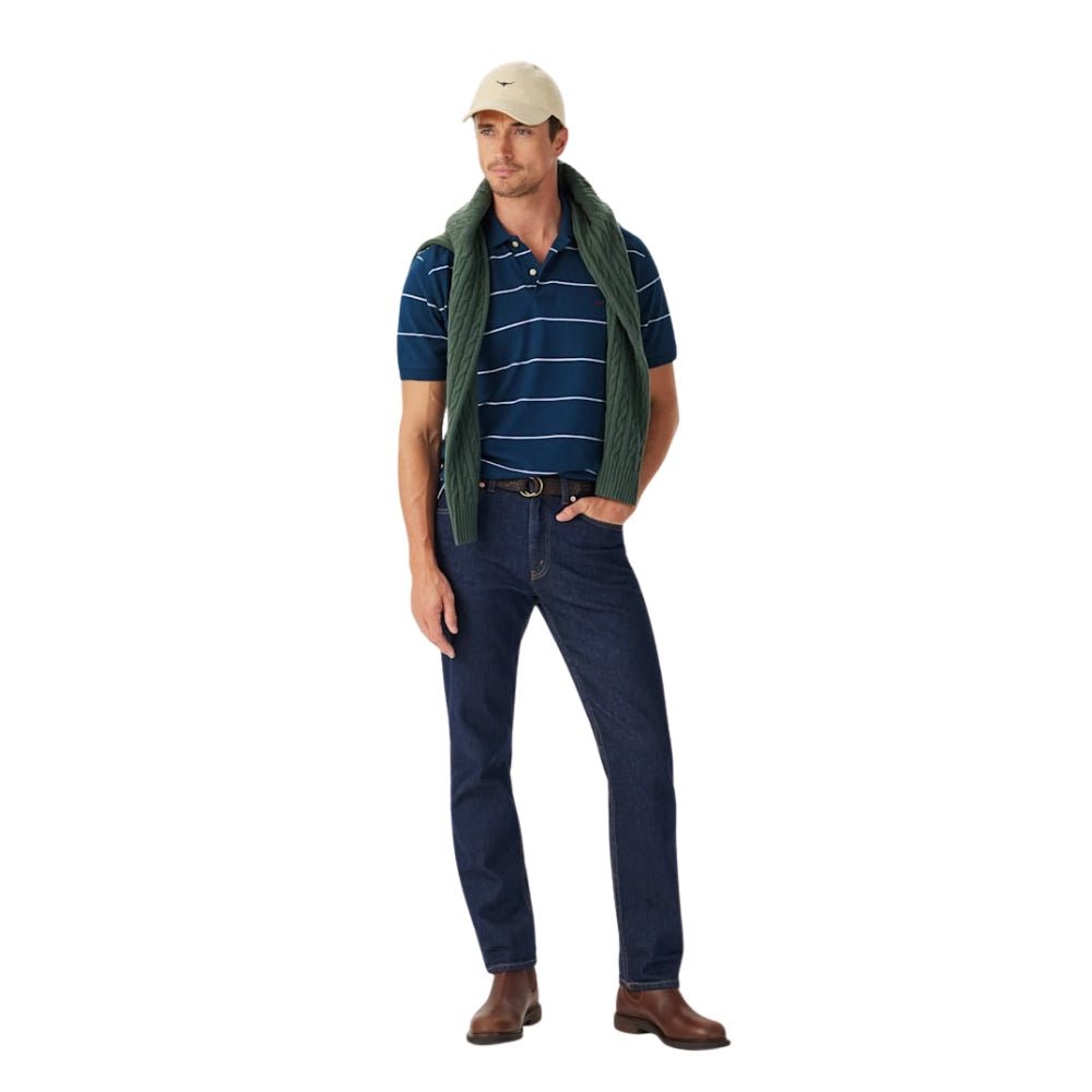 Albany Stripe Polo Shirt W26