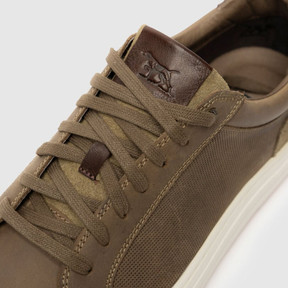 Shoe Transit Sneaker