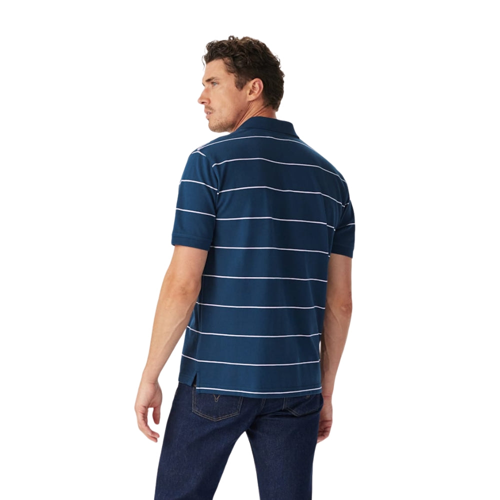 Albany Stripe Polo Shirt W26