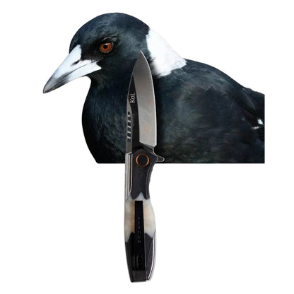 "Max" Pocket Knife